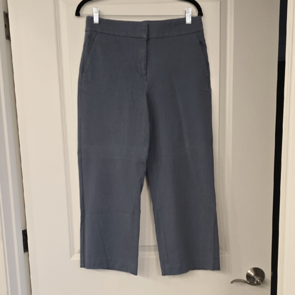 Loft Cropped Pants With Pockets Size 6